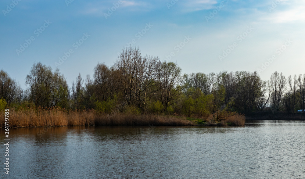Ponds in Wola Rusiecka near Krakow