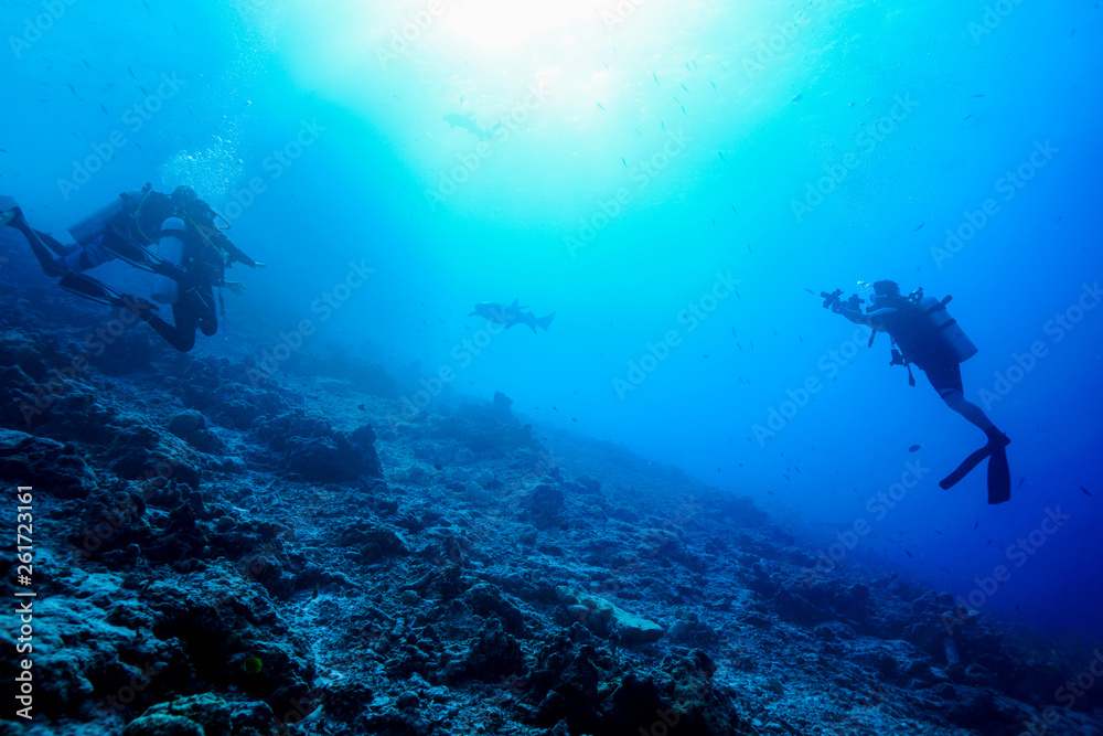 Diving the Maldives