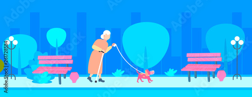 senior woman walking with dog in muzzle best friend concept grandmother and animal pet having fun night urban park cityscape background full length horizontal flat