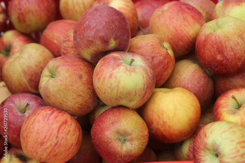 big pile of ripe red and yellow apples