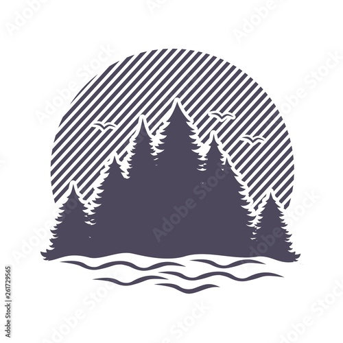 Silhouette of coniferous forest and lake