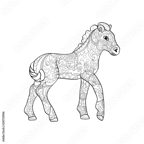 foal zentangle on white background