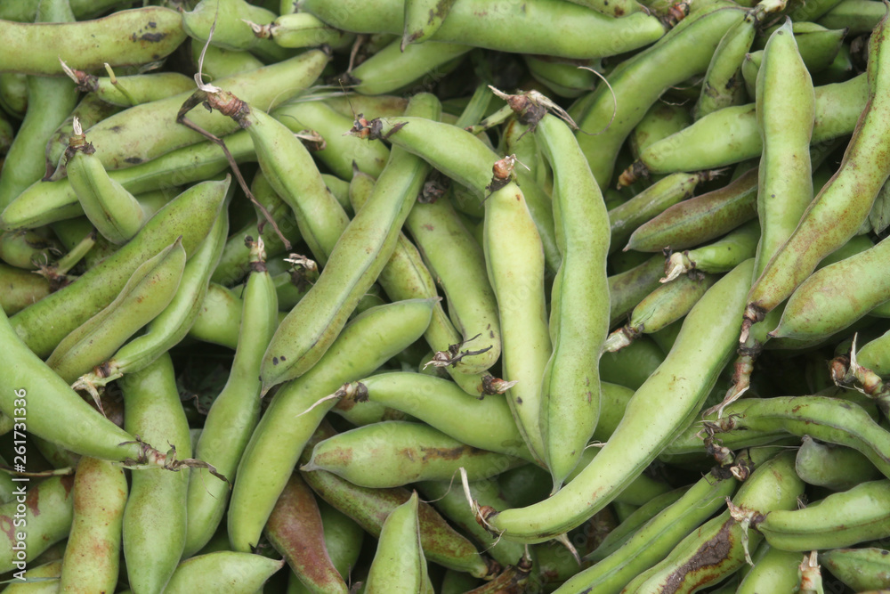 pile of thick ripe green bean pods