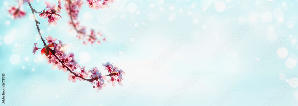 Beautiful spring cherry sakura blossom twigs at sky background in sunshine with bokeh. Outdoor springtime nature background. Pink spring blossom. Banner or template Beautiful spring cherry sakura blossom twigs at sky background in sunshine with bokeh. Outdoor springtime nature background. Pink spring blossom. Banner or template