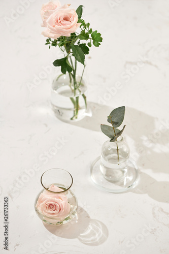 Beautiful rose flowers in vase on pink background. Greeting card for Womens day or Mothers day.