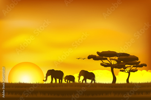 Paper art and digital craft style of world elephant Day , elephant in the grass sunrise , Vector illustration.