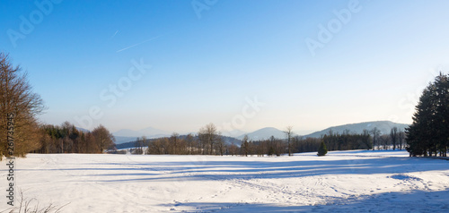 Wallpaper Mural winter field and forest countryside snow covered panoramic landscape with trees, hill in luzicke hory mountain Torontodigital.ca