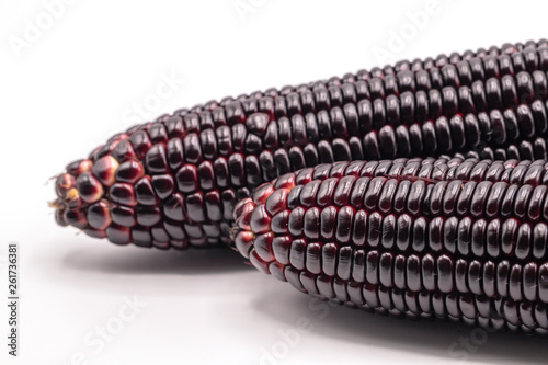 Siam ruby queen corn on isolate white background.It can eat as a fresh,steam,grill,and microwave.Sweet red corn of Thailand. © alohapatty