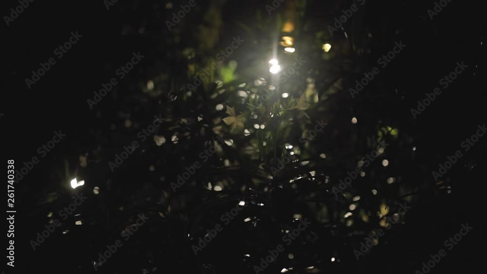 Tropical rain at night Storm and Rain in Tropical Asia Wind Tropical rain at night Storm and Rain in Tropical Asia Wind