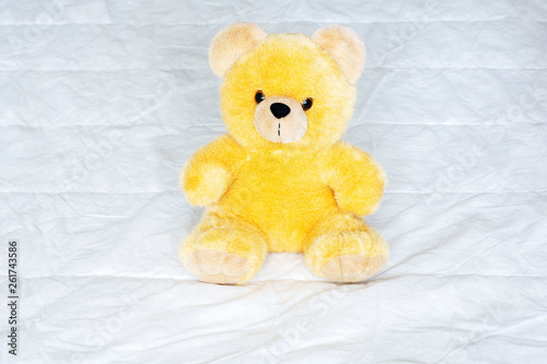 brown toy soft bear on white background childhood concept