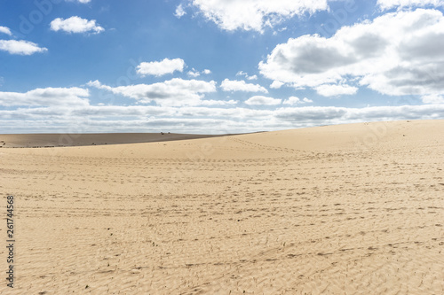 Desert of Fuerteventura on Canary Islands in Spain