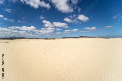 Desert of Fuerteventura at the Canary Islands of Spain