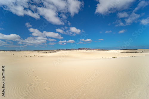 Desert of Fuerteventura at the Canary Islands of Spain