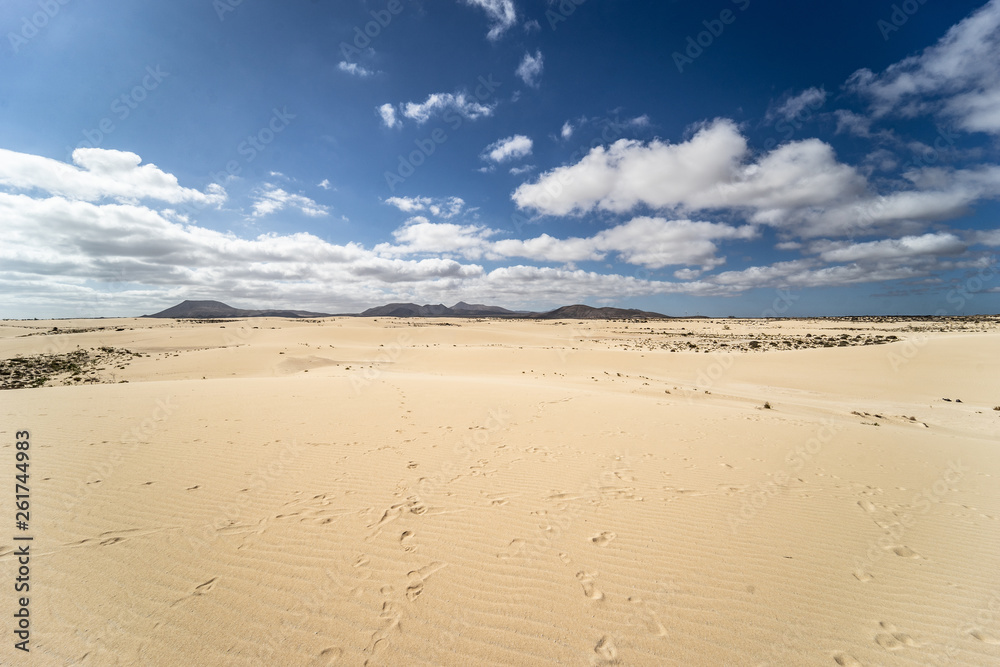 Desert of Fuerteventura at the Canary Islands of Spain Desert of Fuerteventura at the Canary Islands of Spain