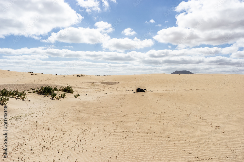 Desert of Fuerteventura at the Canary Islands of Spain