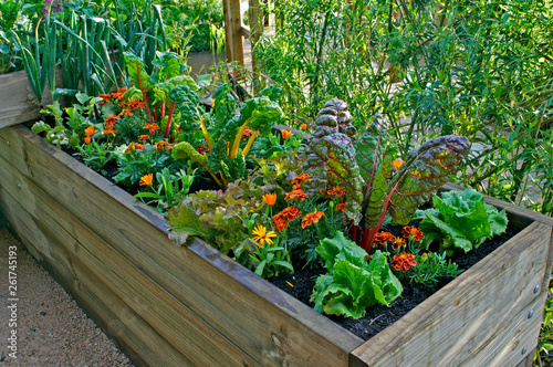 A raised bed of vegetables and flowers in a urban garden