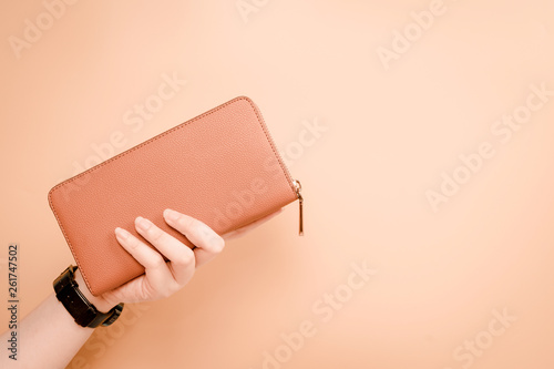 web banner design for woman fashion in spring and summer concept with beauty woman hand hold modern brown leather purse or wallet in left hand with pastel color background photo
