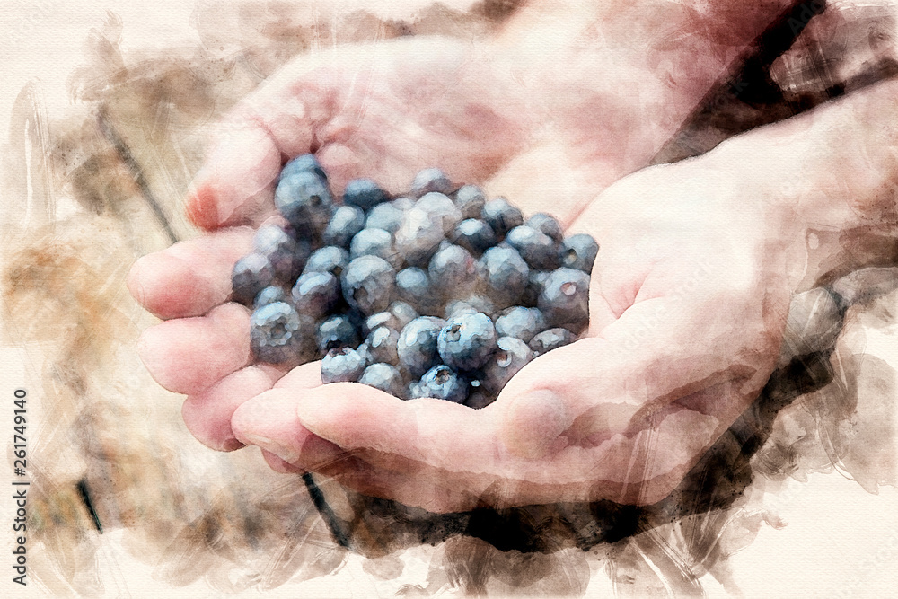 hands holding blueberries in watercolors