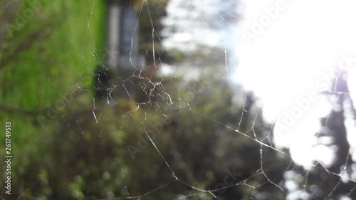 Shattered Spiderweb