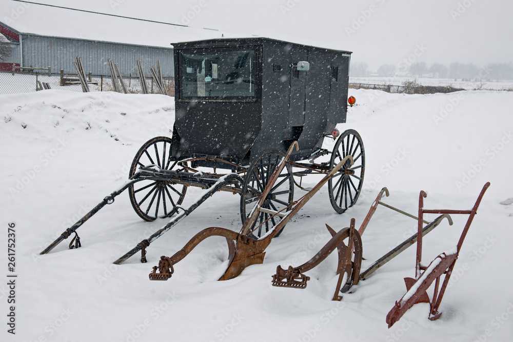 Amish Buggy for Sale with Horse Drawn Plows Stock Foto Adobe Stock