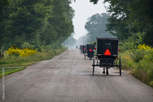 Amish Buggies On Rural Road © David Arment