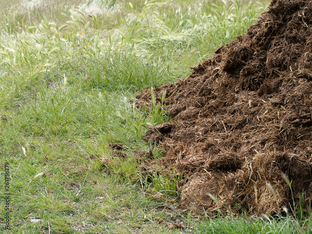 Manure aka muck. Natural fertilizer. Background with copyspace. Manure aka muck. Natural fertilizer. Background with copyspace.
