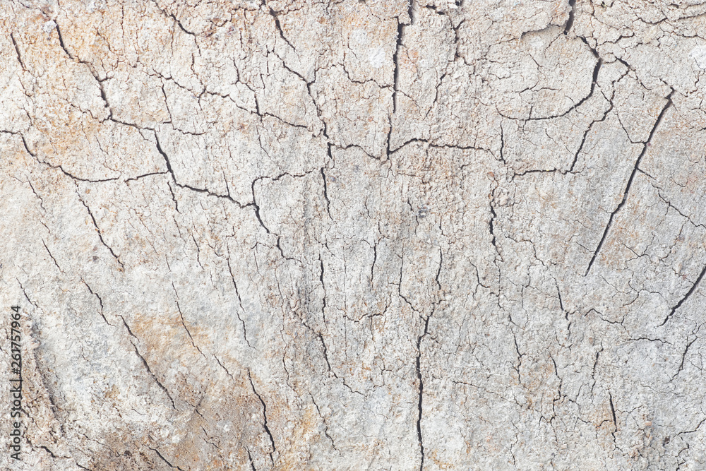 abstract old grunge wood panel for background abstract old grunge wood panel for background