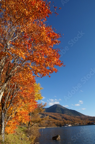 Highland Lake Autumn leaves