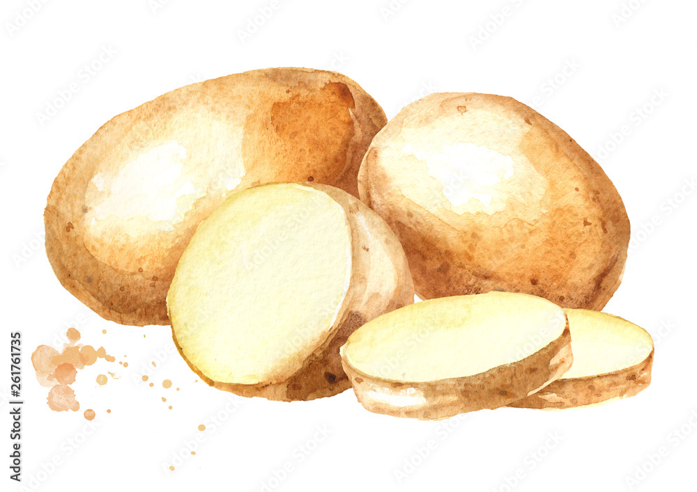 Cut raw potatoes vegetables. Watercolor hand drawn illustration, isolated on white background Cut raw potatoes vegetables. Watercolor hand drawn illustration, isolated on white background