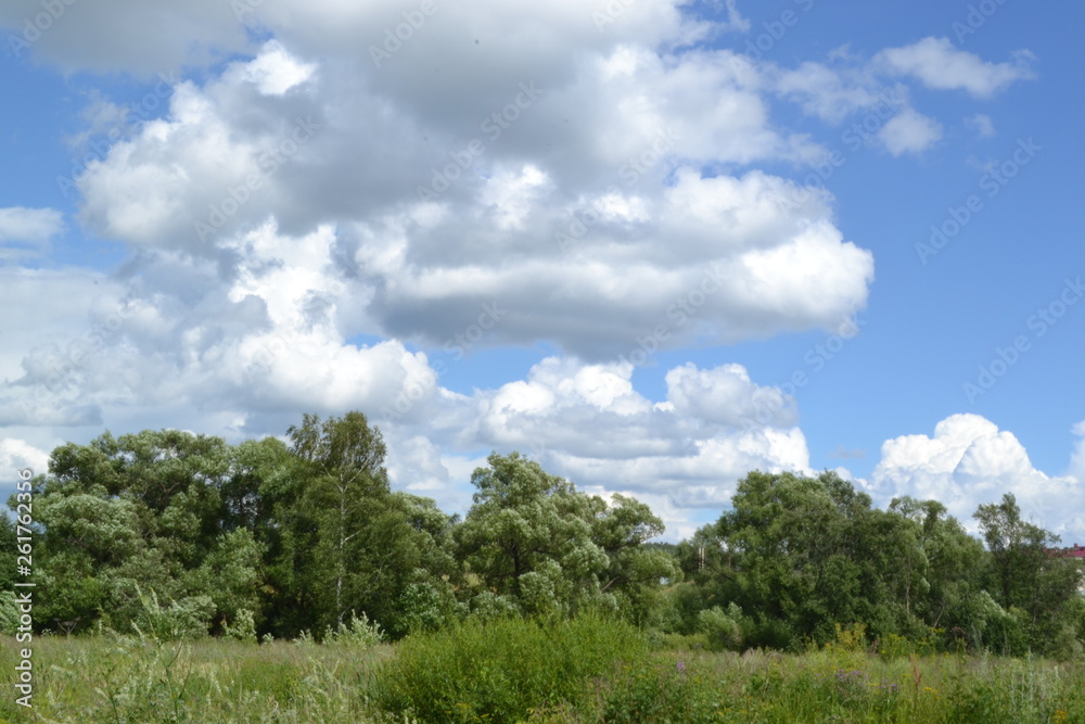 summer landscape