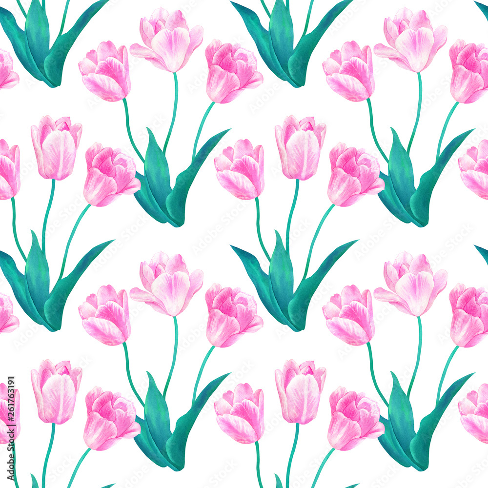 Seamless pattern with bouquets of three pink tulips with green leaves in pastel colors. Hand drawn watercolor illustration. Isolated on white background. Seamless pattern with bouquets of three pink tulips with green leaves in pastel colors. Hand drawn watercolor illustration. Isolated on white background.