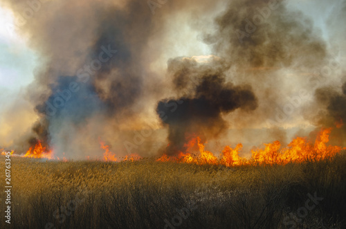 Strong fire and smoke, grass and reeds in flames.Black smoke.