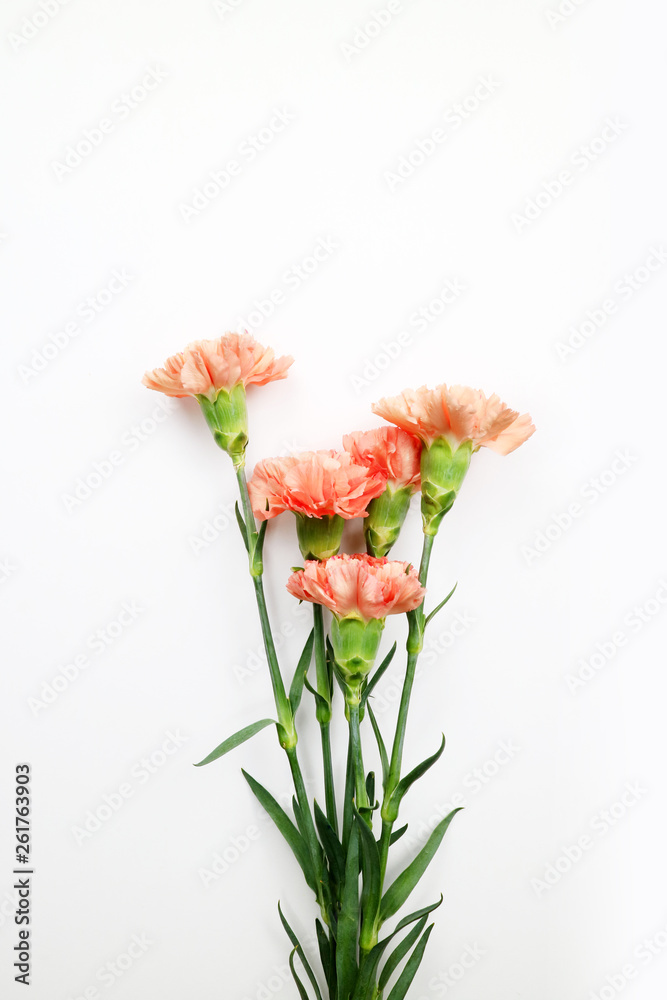 Obraz premium 아름다운 봄 꽃, 리빙코랄 컬러 카네이션,안개꽃,장미