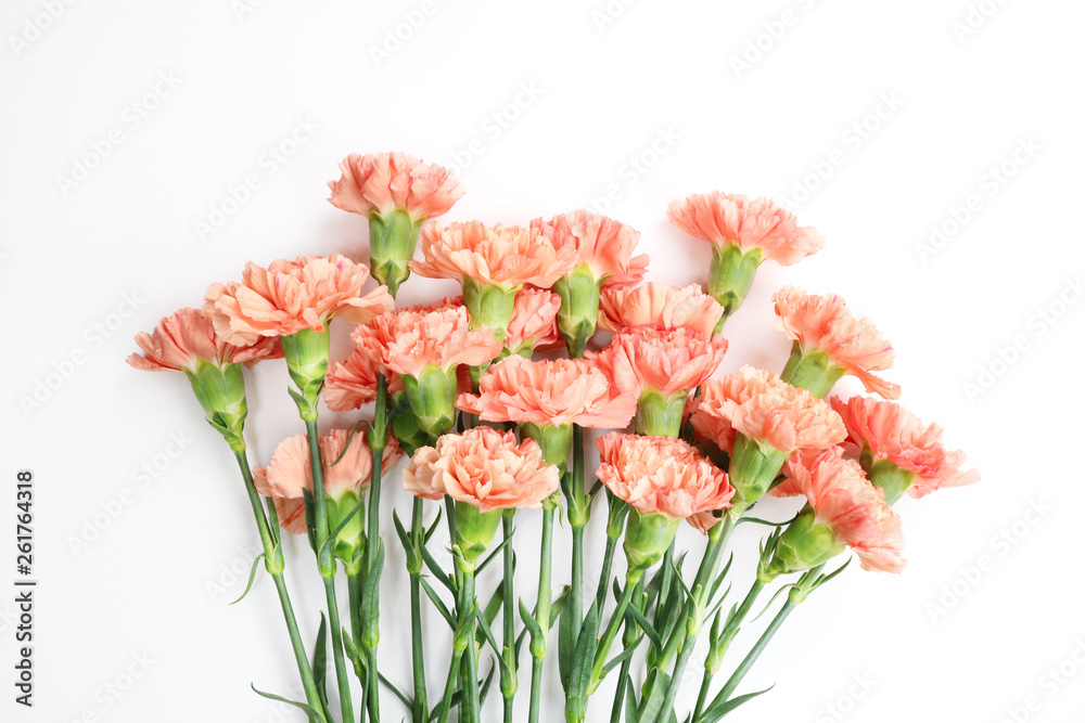 아름다운 봄 꽃, 리빙코랄 컬러 카네이션,안개꽃,장미 아름다운 봄 꽃, 리빙코랄 컬러 카네이션,안개꽃,장미