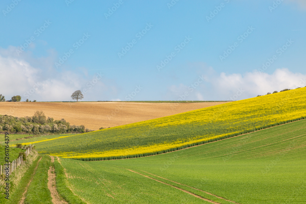 Farmland in the South Downs in Sussex, on a sunny spring day