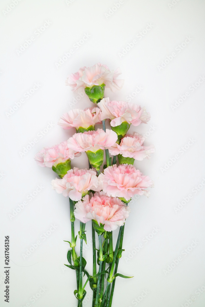 아름다운 봄 꽃, 리빙코랄 컬러 카네이션,안개꽃,장미