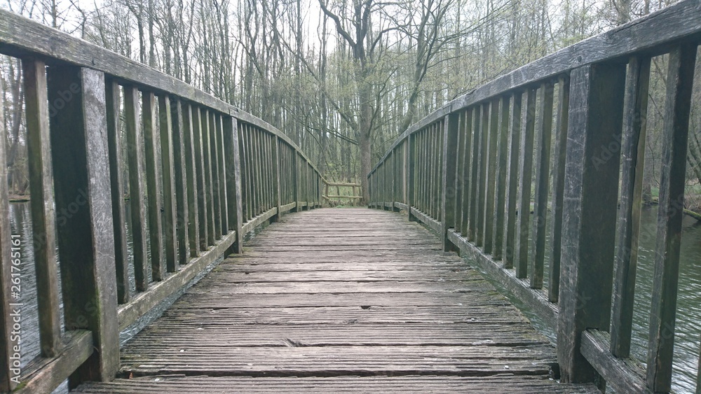 Holzbrücke im Möllner Wald