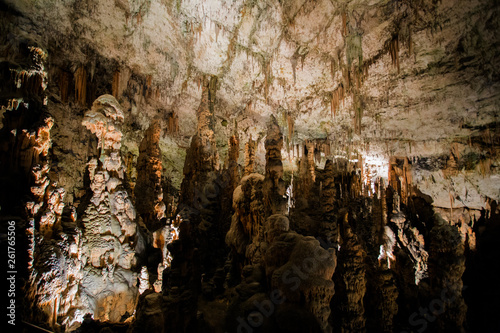 Beautiful creations inside Postojnska jama cave in Slovenia © Nino Pavisic