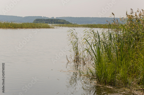 Wide blue river slow flowing across the green meadow and mountains with no reflections. A lot of tall grass around. Summer time photo