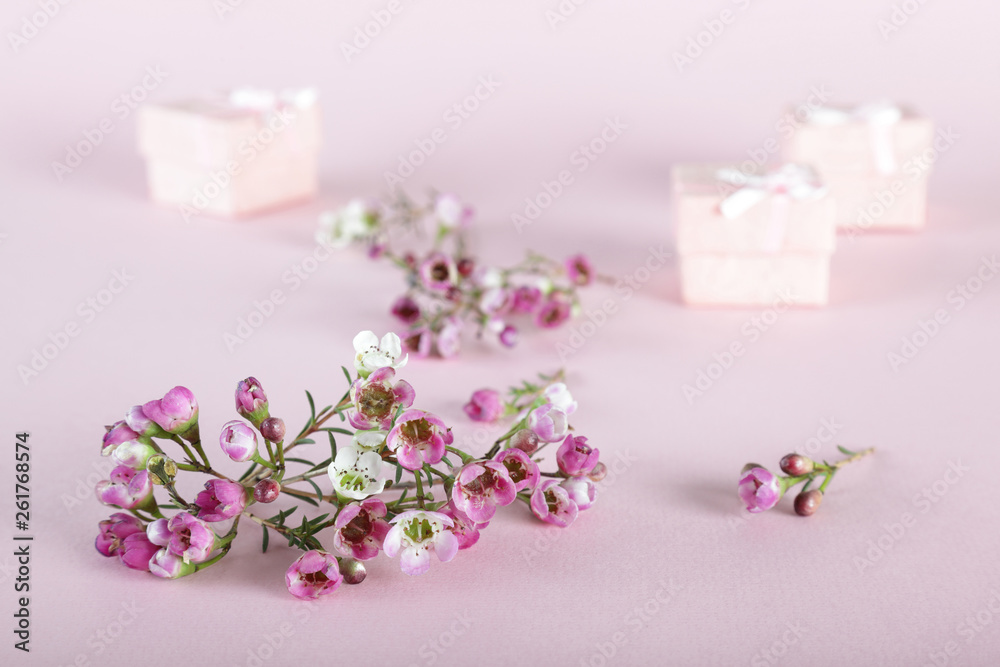 Beautiful gift composition Beautiful gift composition
