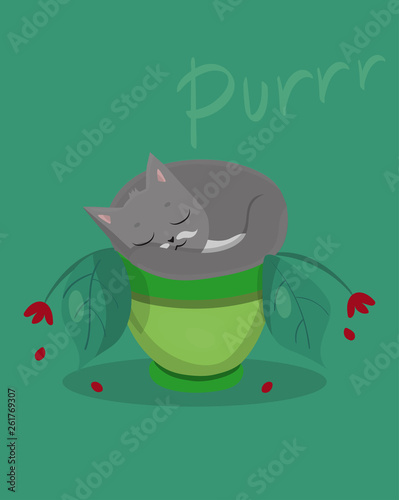 postcard with ute cat. The pet sleep in a potty pot. Cartoon image. Vector illustration.