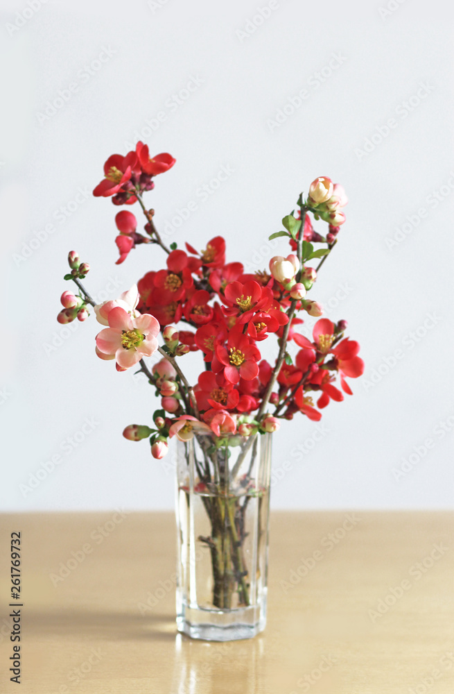 vase with red and pink blooming branches