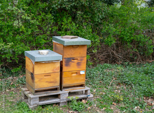 Bienenkästen am Rand eines Friedhofes
