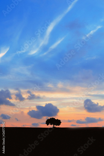 Single lonely tree beneathe a beautiful pink and blue evening sky.