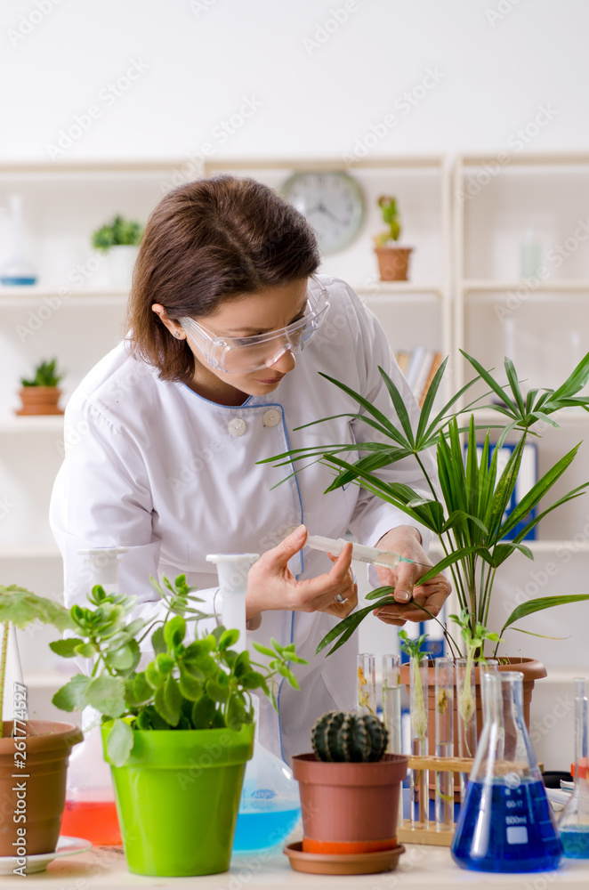 Old female biotechnology chemist working in the lab Old female biotechnology chemist working in the lab
