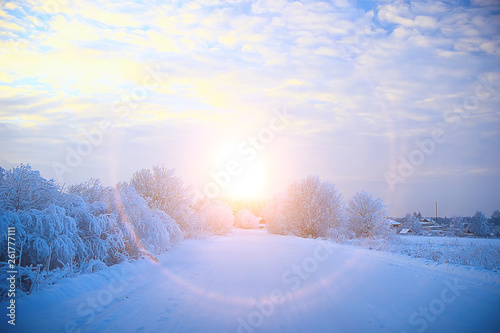 sunset in the winter forest / February sunset in the park, snow forest and sun, winter rest © kichigin19