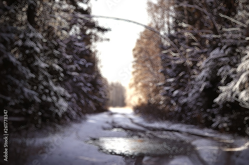 abstract forest blurred winter vertical lines / winter forest background, abstract landscape
