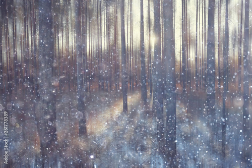 Wallpaper Mural forest snow blurred background / winter landscape snow-covered forest, trees and branches in winter weather Torontodigital.ca