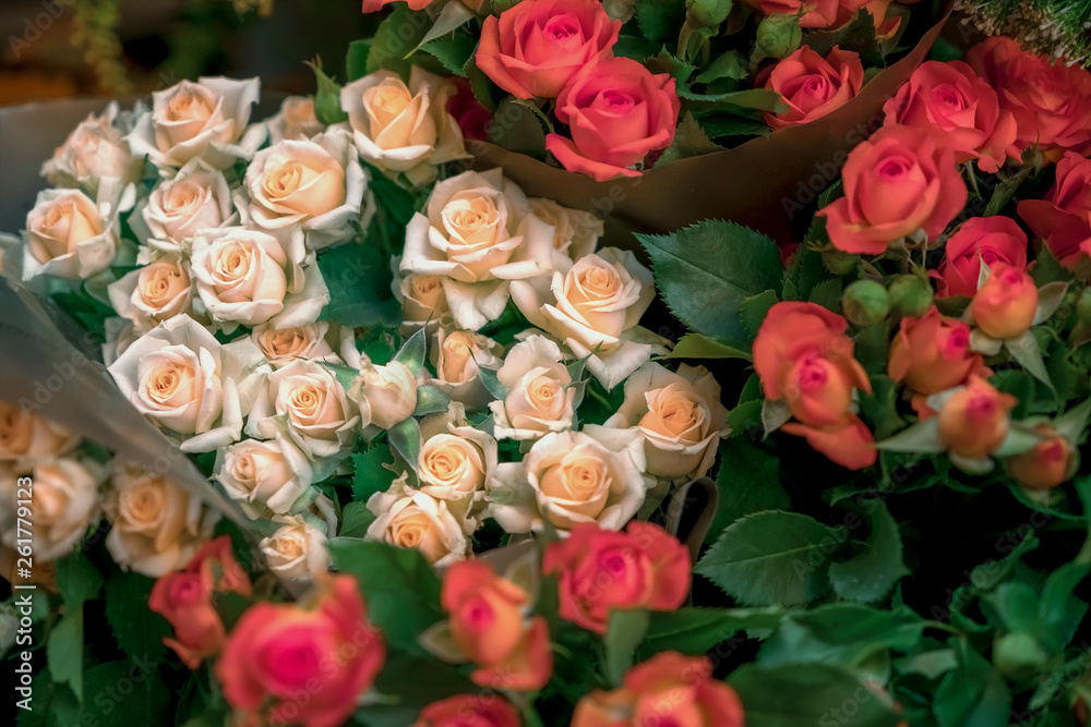 The composition of beige and red roses. The composition of beige and red roses.