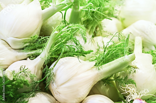 Large white fennel bulbs with green leaves, in the food market for sale